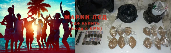 прущие грибы Верея