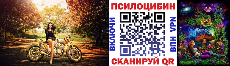 Галлюциногенные грибы Psilocybe Дудинка